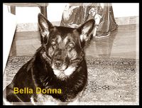 Bella Donna +